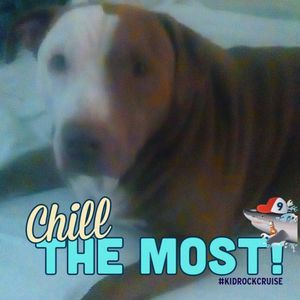 Meet your Posher, Terry